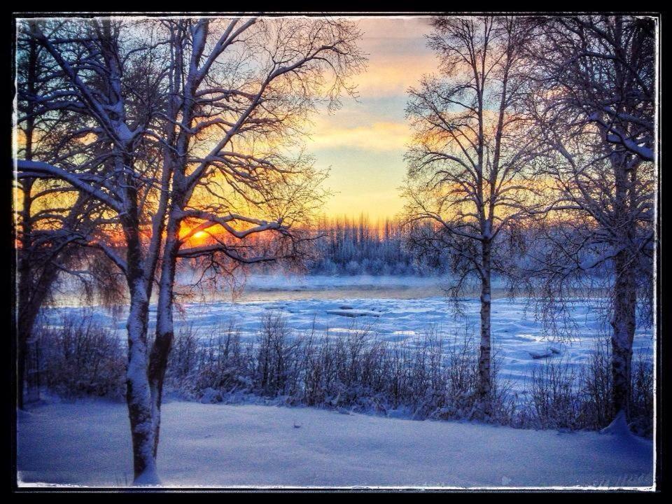 Susitna River Lodging, Riverside Cabins タルキートナ エクステリア 写真